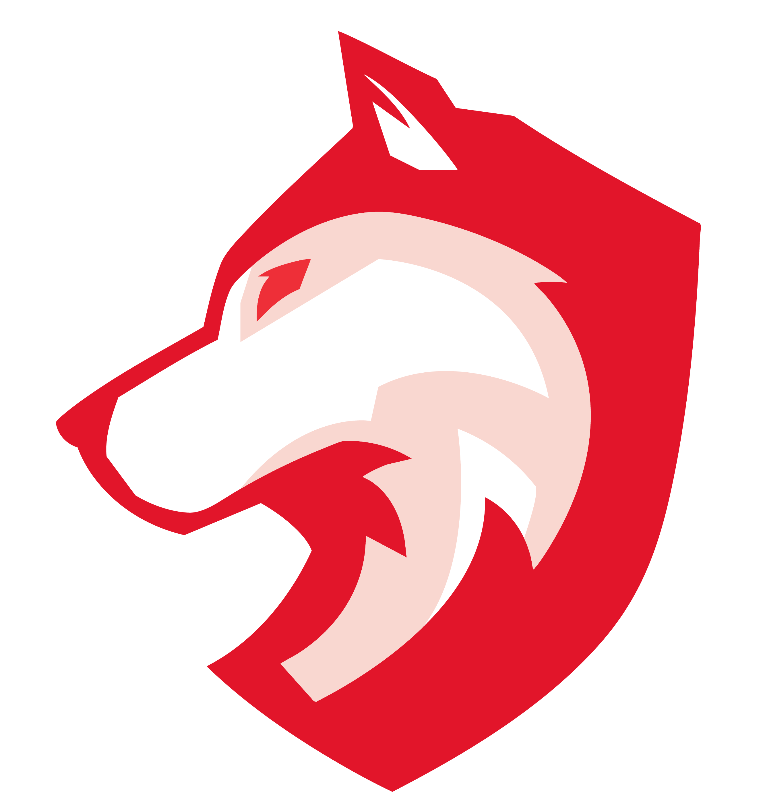 Wolf Guard